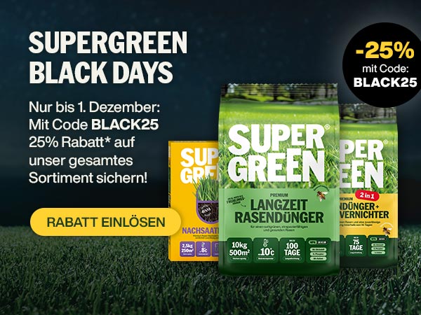 SUPERGREEN BLACK DAYS