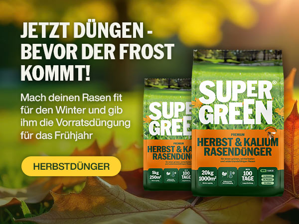 Jetzt düngen - bevor der Frost kommt!