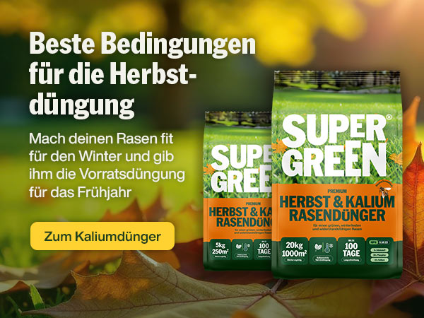 Optimale Bedingungen für die Herbstdüngung