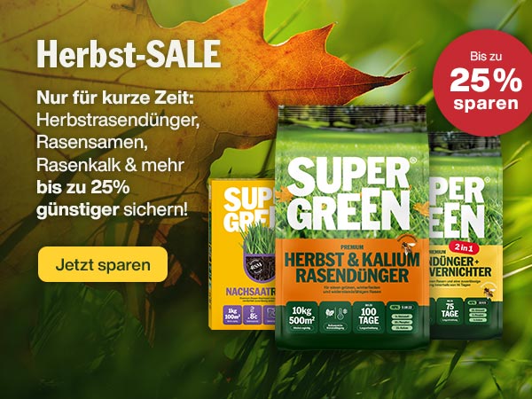 Herbst-SALE: Bis zu 25% sparen!