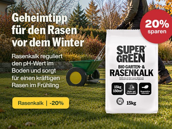 Rasenkalk: Der Geheimtipp für deinen Rasen vor dem Winter