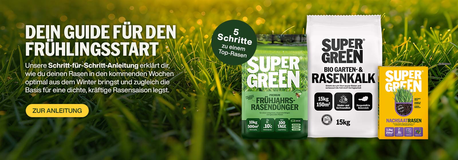 Dein Guide für den Frühlingsstart