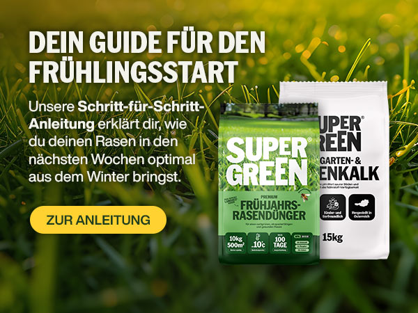 Dein Guide für den Frühlingsstart