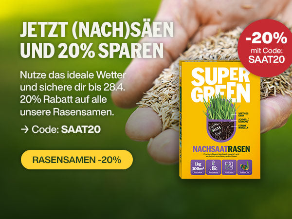 Bis 28.4.: 20% auf alle Rasensamen sparen!