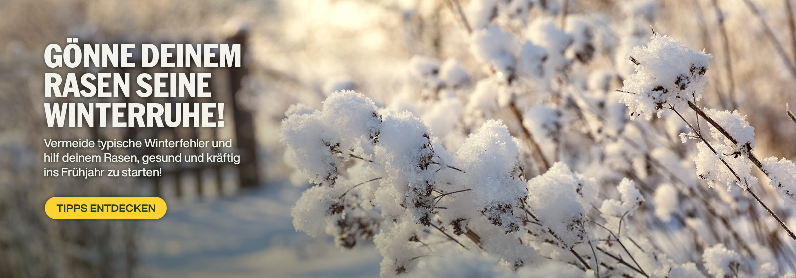 Gönne deinem Rasen seine Winterruhe