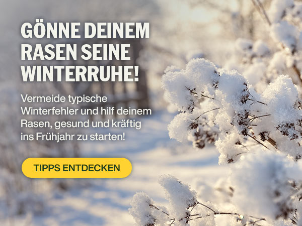 Gönne deinem Rasen seine Winterruhe