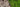 Rasenkanten - Der Feinschliff für deinen Garten