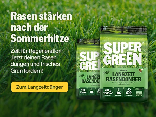Rasen stärken nach der Sommerhitze!