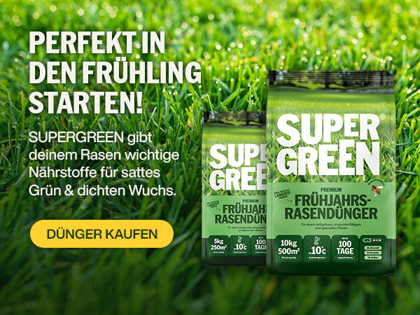 SUPERGREEN Frühjahrsdünger für einen sattgrünen Rasen