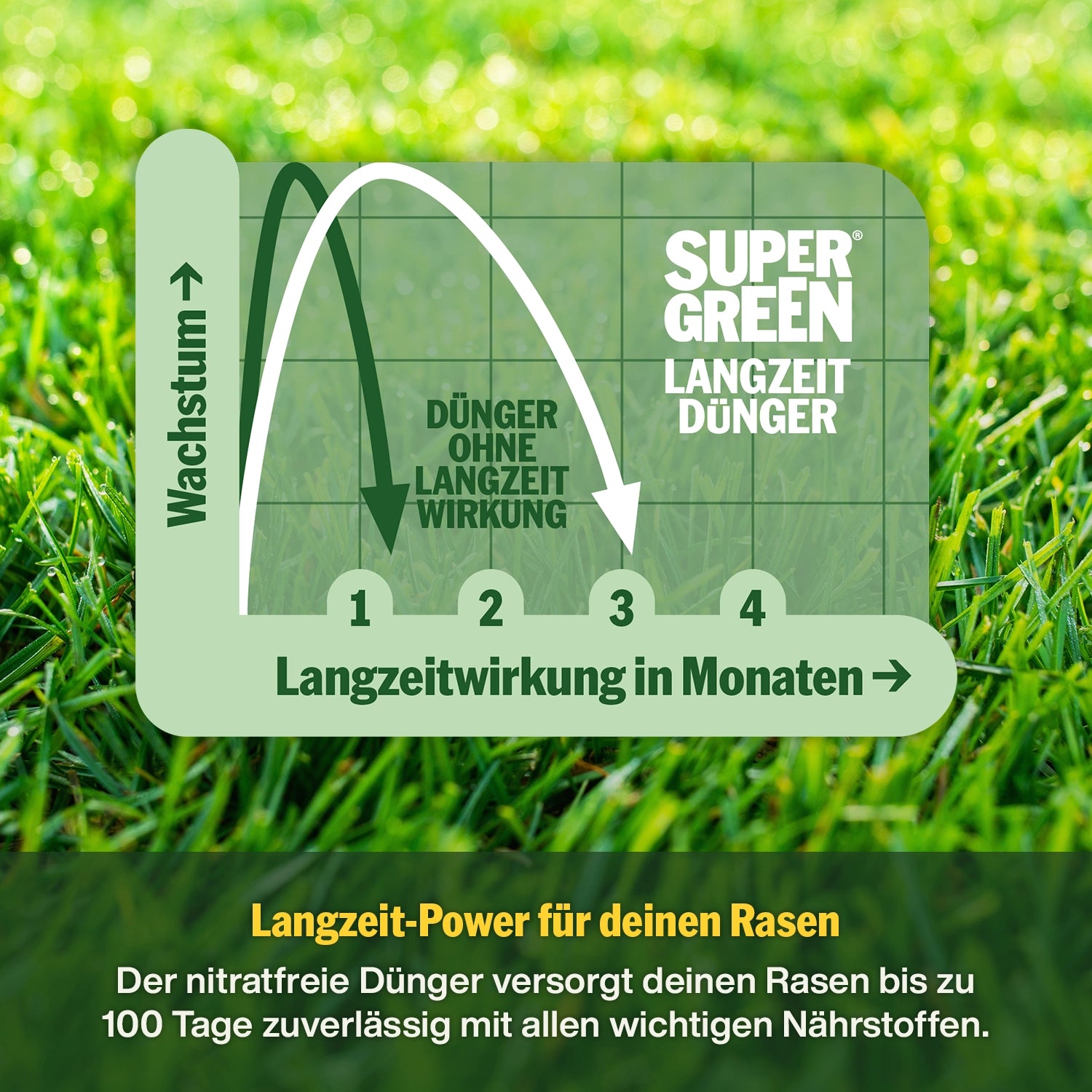 Langzeit-Rasendünger – SUPERGREEN