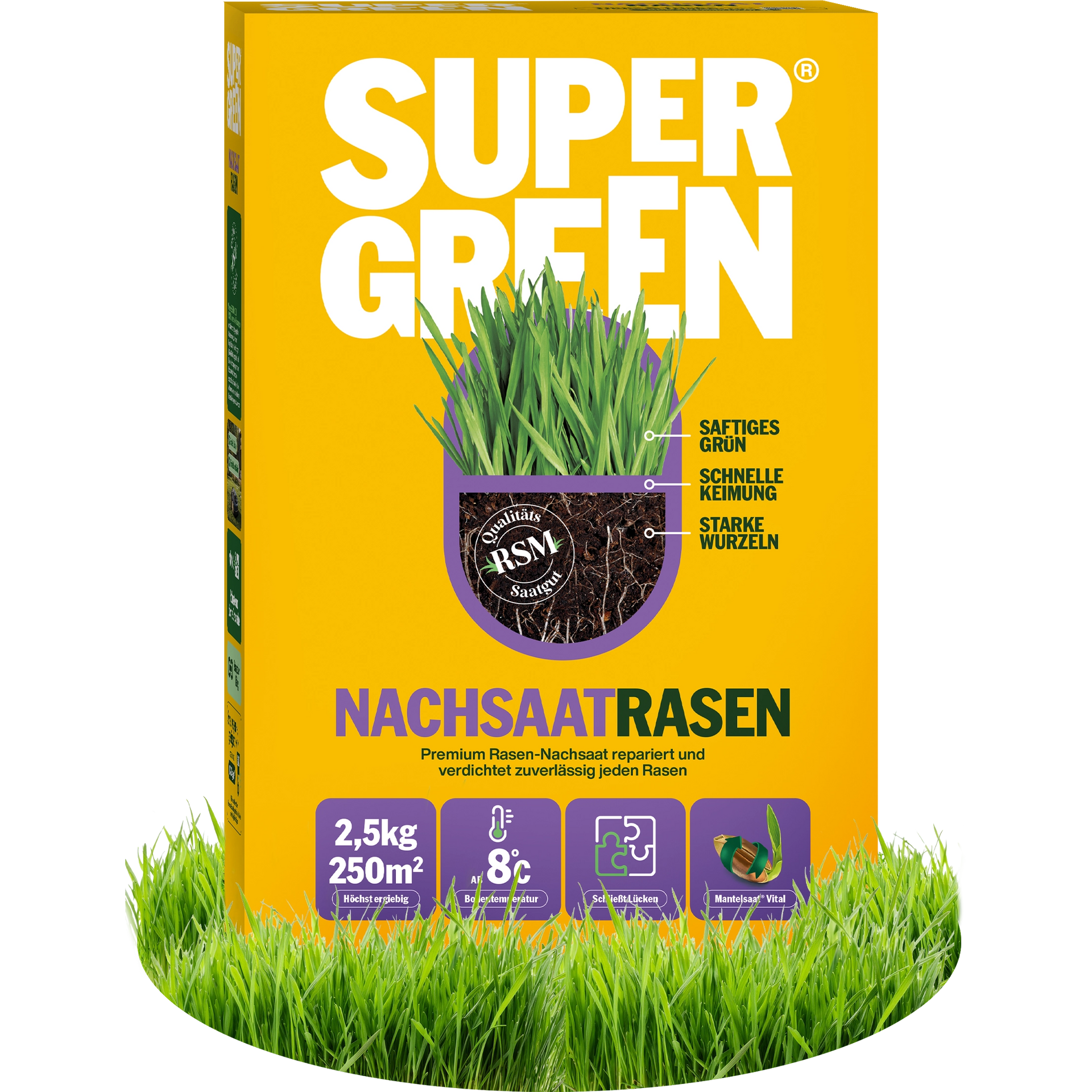 saatgut rasenmischungen Nachsaatrasen – SUPERGREEN
