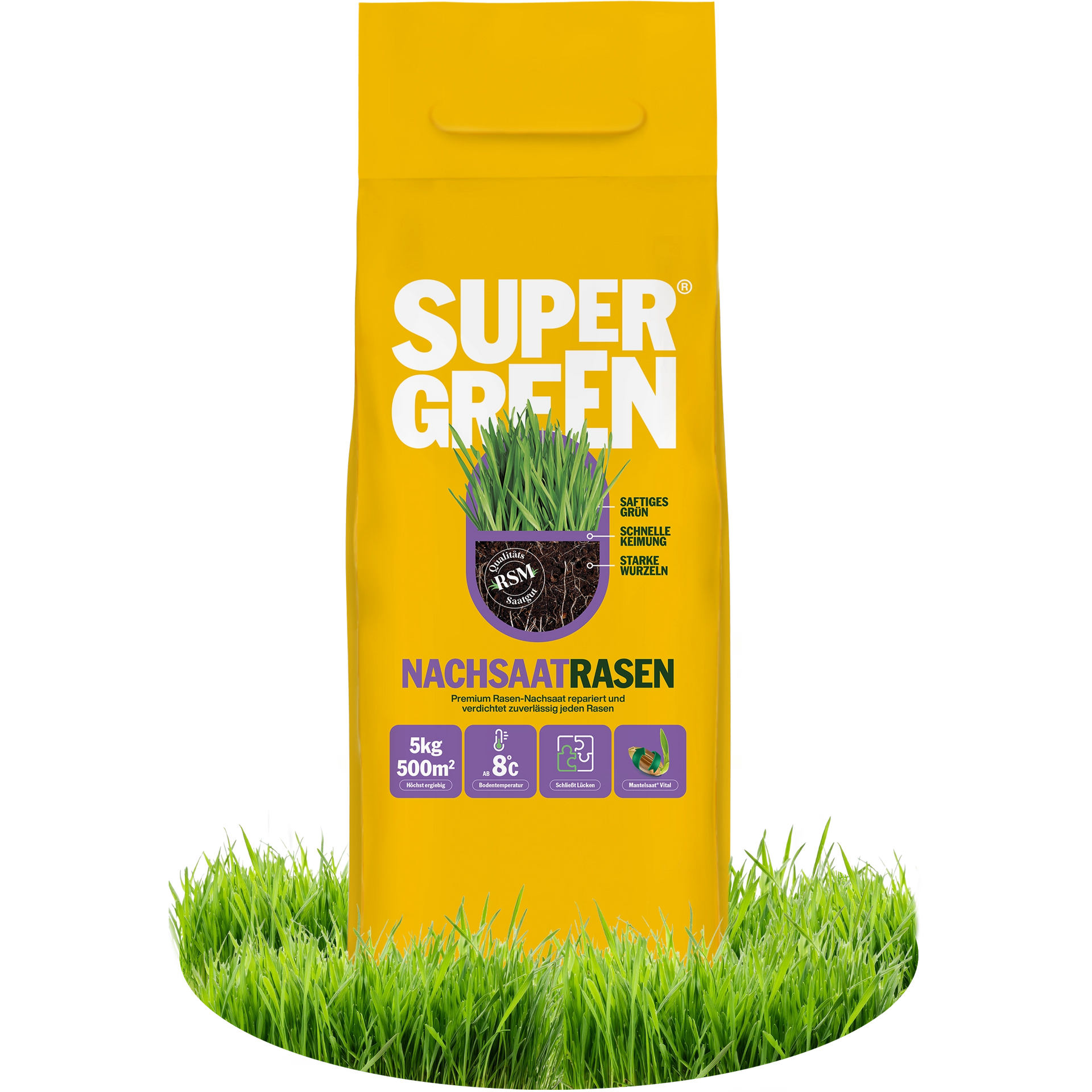 Nachsaatrasen – SUPERGREEN