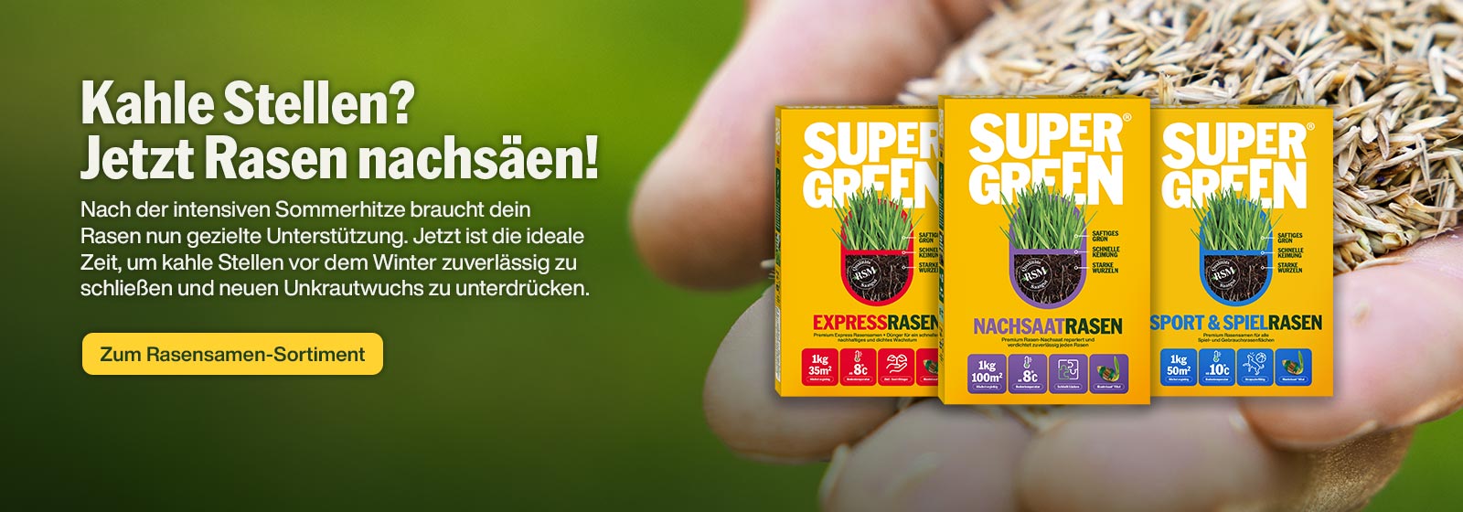 Kahle Stellen? Jetzt Rasen nachsäen!