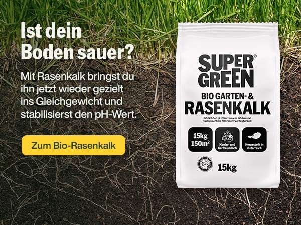Gib deinem Rasen jetzt Kalk-Power!