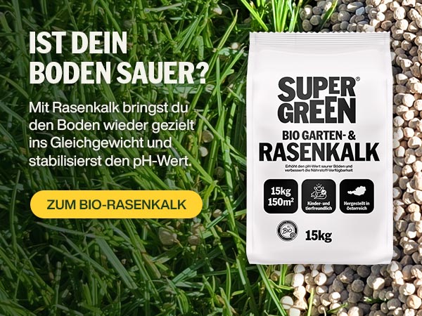 Moos & Unkraut im Griff - mit Rasenkalk!