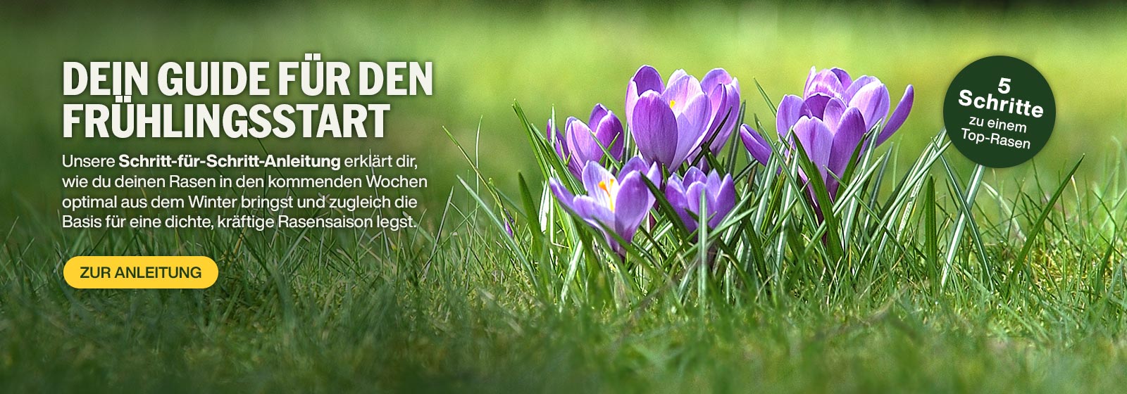 Dein Guide für den Frühlingsstart