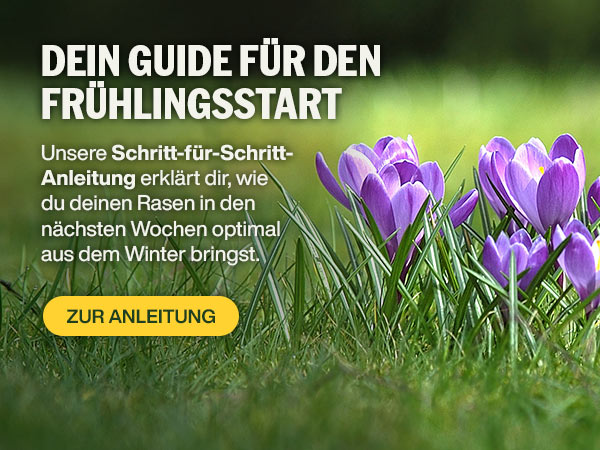 Dein Guide für den Frühlingsstart