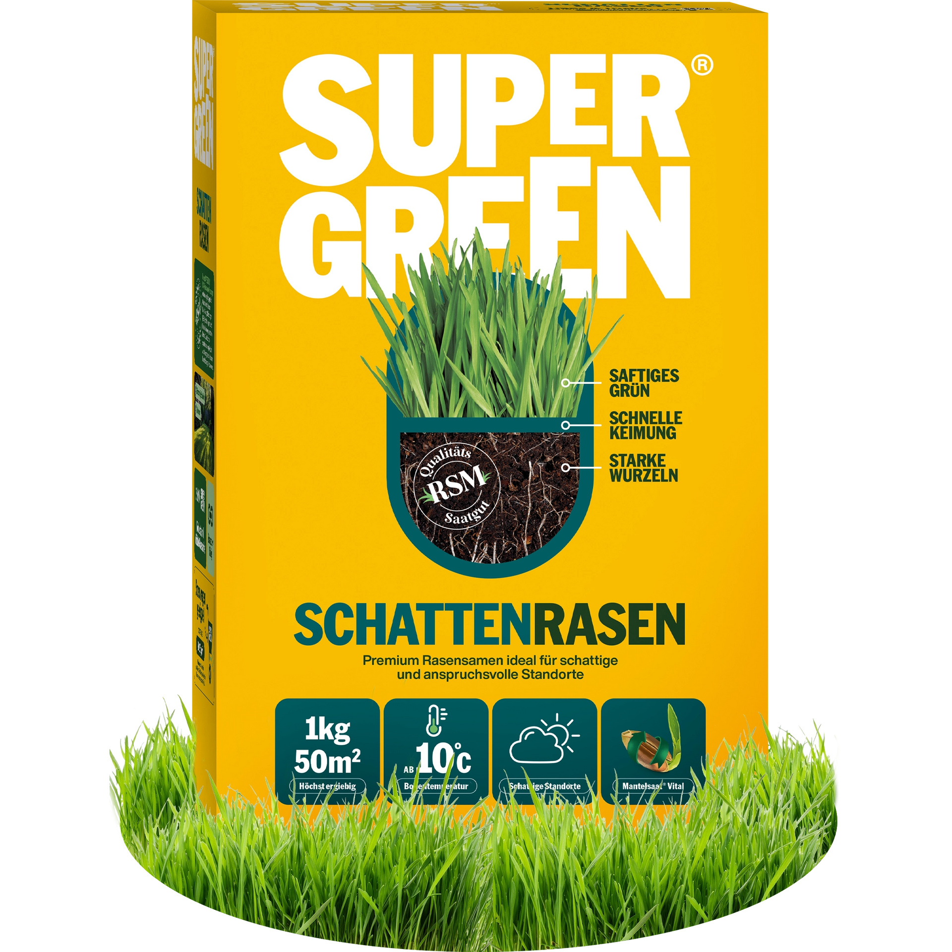 Schattenrasen