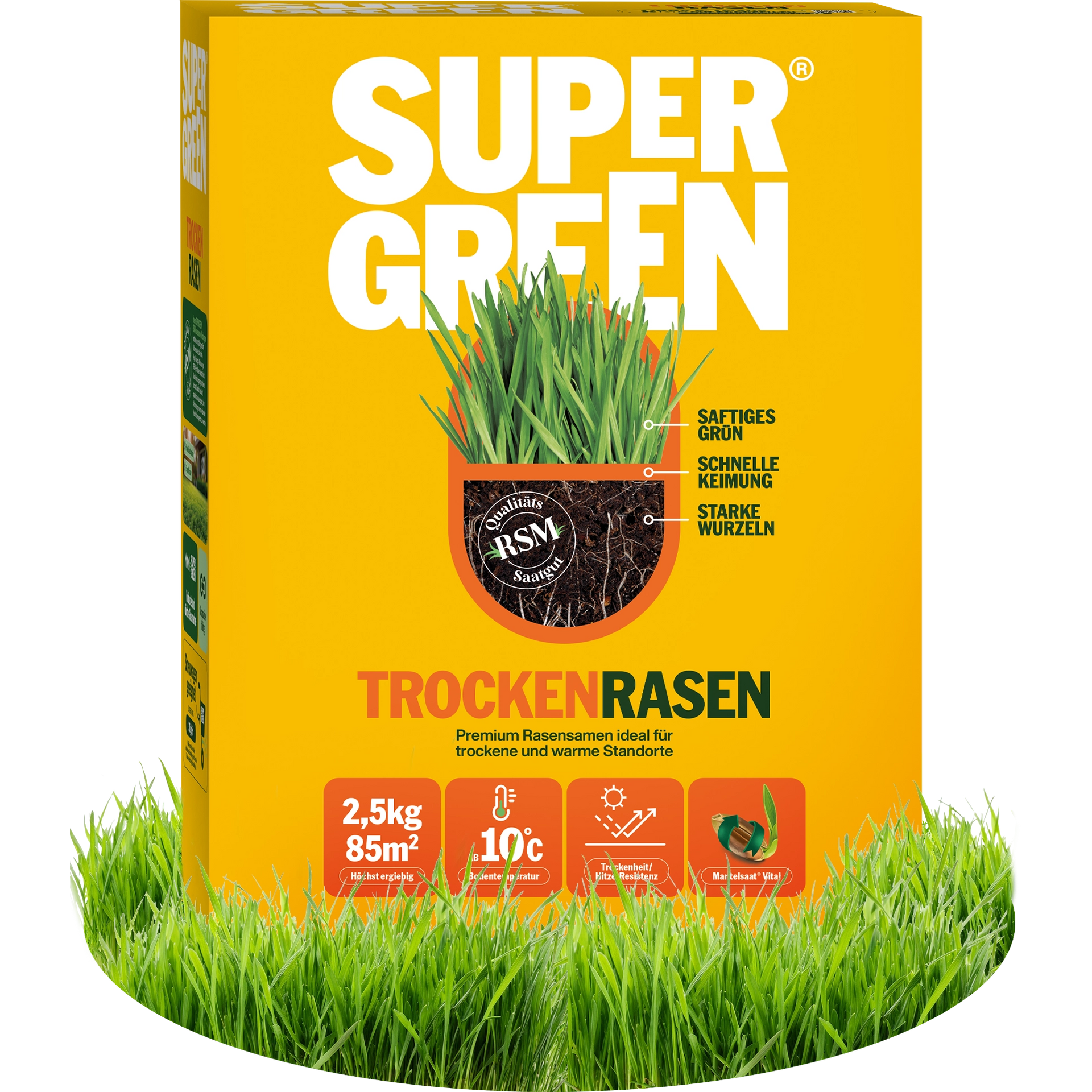 rasen saatgut keimfähigkeit Trockenrasen – SUPERGREEN